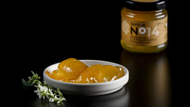 Boreal Vanilla Honey Jelly - La Vallée du Moulin