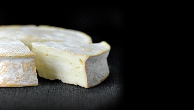 Pâtes Molles à Croûte Lavée Ou Mixte Familles De Fromages Fromages Du Québec Découvrez Nos 