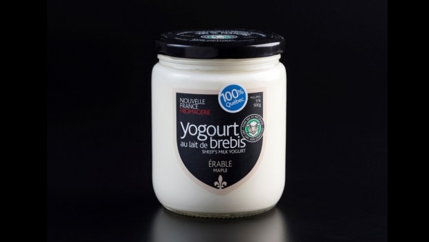 Sheep milk yogurt (maple) - Fromagerie Nouvelle France